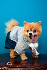 imtoken苹果版本