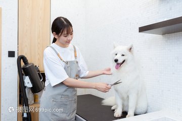 usdt使用的钱包