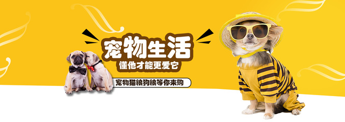 虚拟货币钱包下载