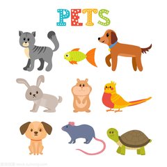 TP钱包最新版下载