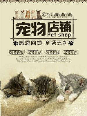 BUSD钱包app官网