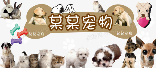 tp钱包和im钱包哪个更安全