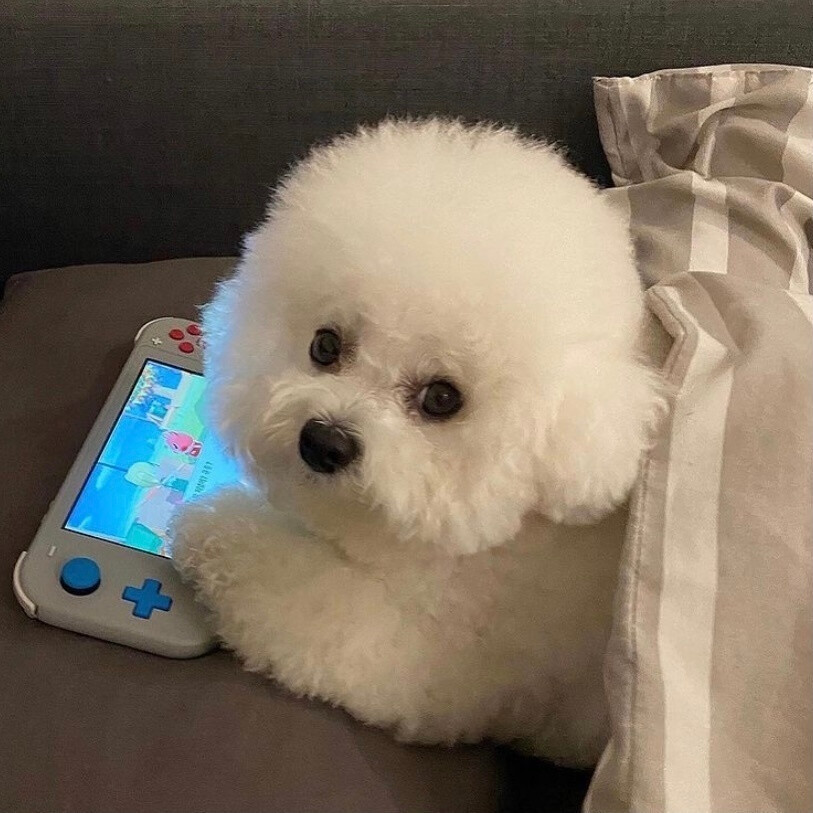 usdt钱包安卓版app下载钱包